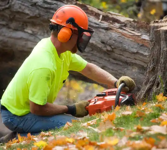 tree services Richland